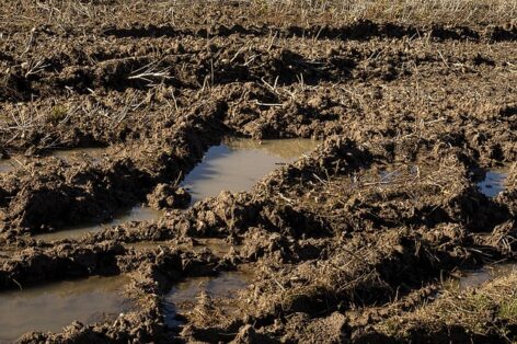 Agrometeorology: soil recharge is slow in the central part of the country
