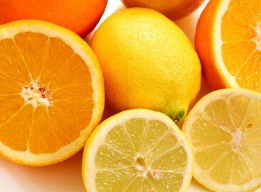 Lemons and tangerines have become more expensive on the domestic market