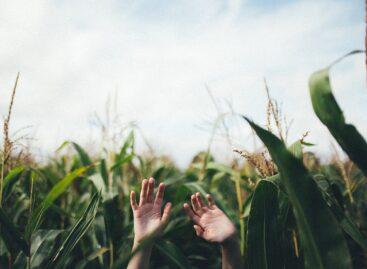 AM: január 1-től csökkennek a gazdák adó- és adminisztrációs terhei