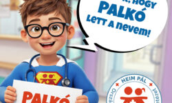 PALKÓ is the name of the new digital assistant at Heim Pál Children’s Hospital