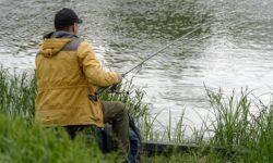 Fish caught in the Sajó River is safe to consume