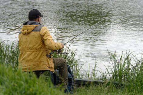 Fish caught in the Sajó River is safe to consume