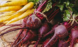 Winter frosts may reduce beet supply in the region