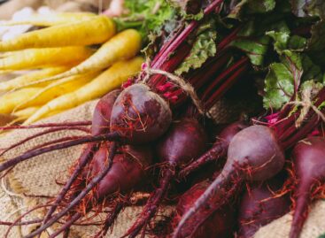 Winter frosts may reduce beet supply in the region