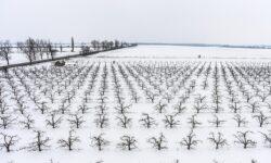 Agrometeorology: Winter weather favorable for agriculture