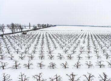 Agrometeorológia: mezőgazdasági szempontból kedvező a téli időjárás