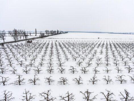 Agrometeorology: Winter weather favorable for agriculture
