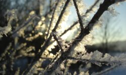 Ónos eső miatt átmenetileg leállt a forgalom a budapesti repülőtéren