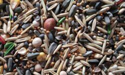 Innovatív magkezelési megoldást fejlesztenek a Szegedi Tudományegyetemen