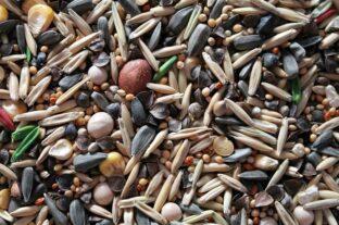 Innovatív magkezelési megoldást fejlesztenek a Szegedi Tudományegyetemen