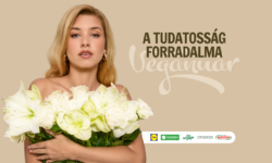 Ünnepek után jön a vegán január: ingyenes receptekkel segíti a váltást a Veganuár