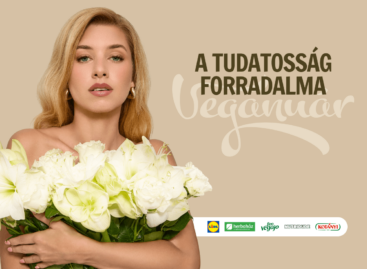 Vegan January is coming after the holidays: Veganuár helps with the switch with free recipes