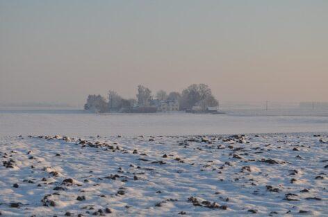 Agrometeorology: snow and cold are favorable for agriculture