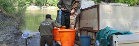 Improved compliance with fish stocking regulations – reporting and monitoring are a common interest