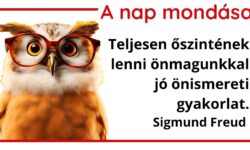 (HU) A nap mondása