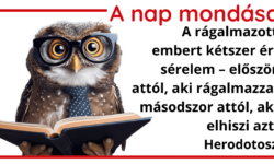 (HU) A nap mondása