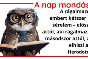 A nap mondása