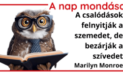 (HU) A nap mondása