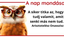 (HU) A nap mondása