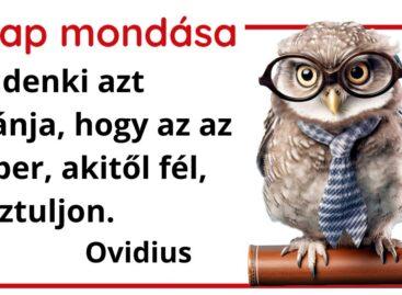 (HU) A nap mondása