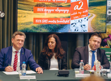 Levente Balogh announces a revolution in the quality dairy products market