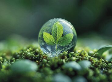 ESG: the majority don’t ask for postponement, preparedness level is increasing