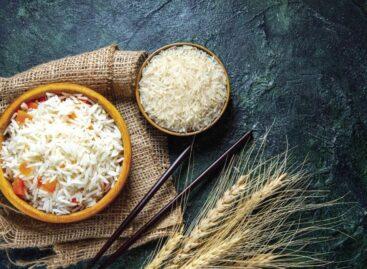 Basmati jam in India: 400,000 tons of rice stuck in ports and on the road, Middle East deals halted