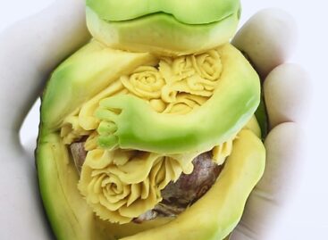 Faragta, faragta, amíg faraghatta… – A nap képe