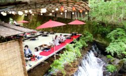 Természetközeli ebéd – A nap képe