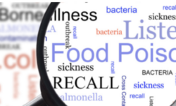 Riaszt a RASFF – összefoglaló a 2025-ös magyar esetekből