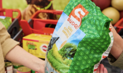 Nem kampány, hanem rendszeres segítség: több tízezer felajánlás a menhelyi kutyáknak és cicáknak