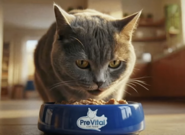 Unexpected role reversal – in PreVital’s latest image campaign, cats go to work instead of their owners