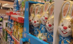 Kicsi a nyúl, de finom