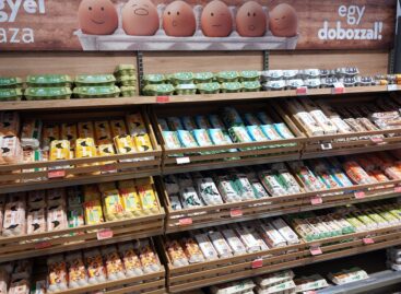 Ketrecesről alternatívra