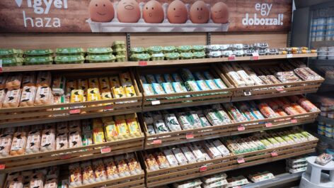 Ketrecesről alternatívra