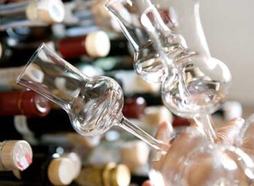 Pálinka, my love…