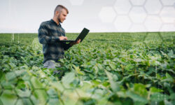 A digitális mezőgazdaság robbanásszerű fejlődés előtt áll Magyarországon
