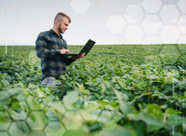 A digitális mezőgazdaság robbanásszerű fejlődés előtt áll Magyarországon