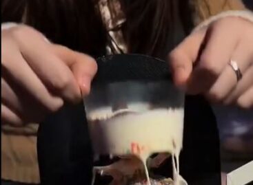 (HU) Nagyon baba! – A nap videója