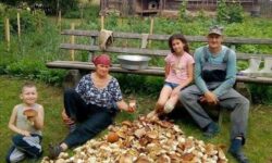 Menü a tajgában – A nap képe