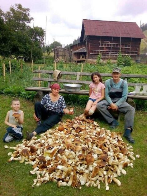 (HU) Menü a tajgában – A nap képe