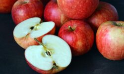 Hungarian apples are safe and of excellent quality