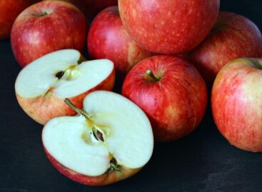 Hungarian apples are safe and of excellent quality