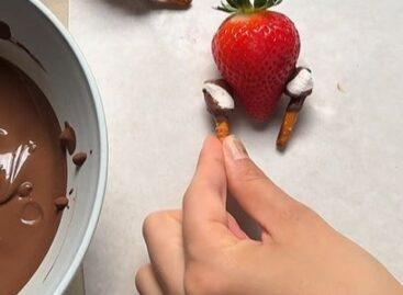 (HU) Pszeudopulykasült – A nap videója