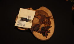 Fedezze fel a jövő megoldásait a Startup szigeten! (3. rész)