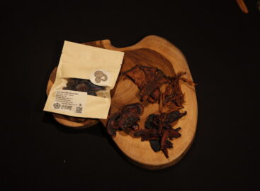 Fedezze fel a jövő megoldásait a Startup szigeten! (3. rész)