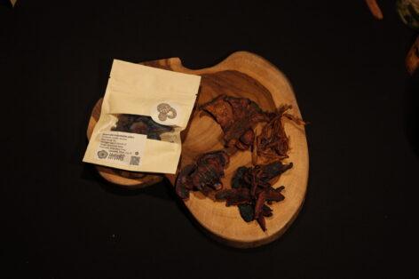 Discover the solutions of the future on Startup Island! (Part 3)