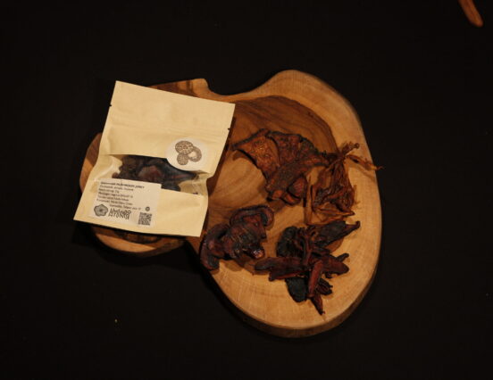 Fedezze fel a jövő megoldásait a Startup szigeten! (3. rész)