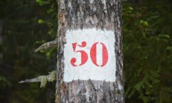 The Hungarian Food Book is 50 years old