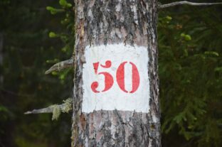 The Hungarian Food Book is 50 years old